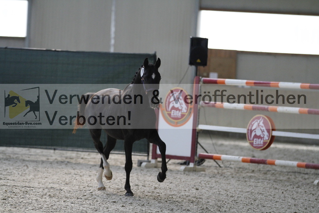 _MG_9316 | equestrian-live-com