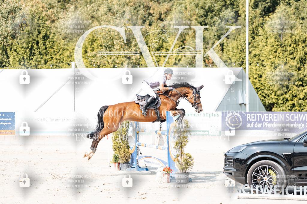 CK902260 | Turnierfotografie Pferdefotografie Trier Rheinland-Pfalz Pferdesport Reitsport Tierfotografie Sportfotografie Pferdevideo Pferdevideografie Equestrianvideography equestrianphotography  - Realisiert mit Pictrs.com