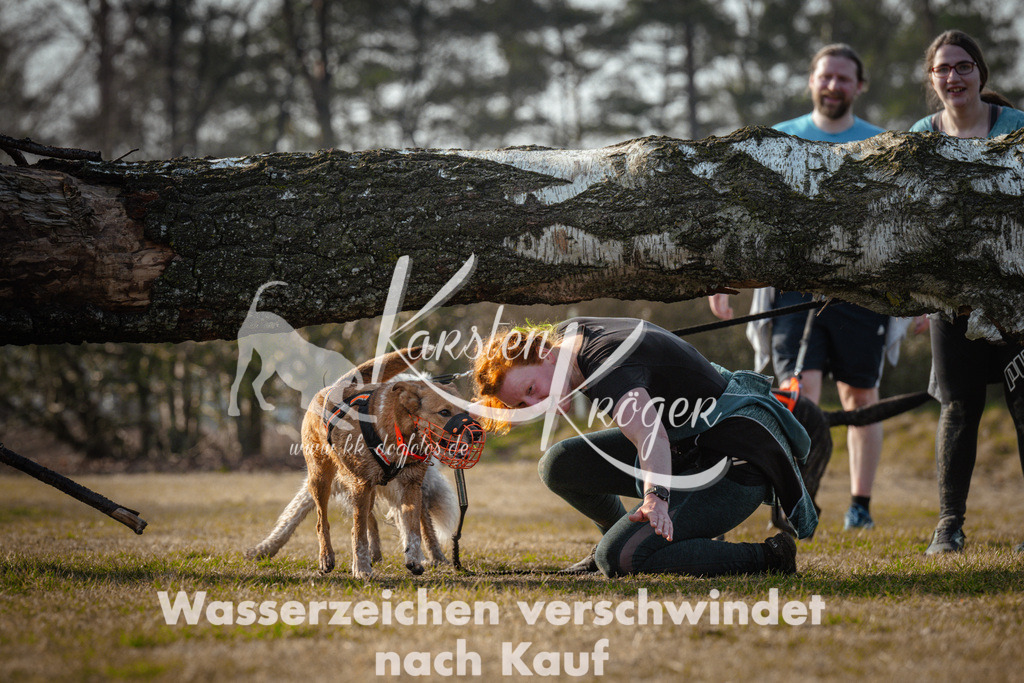 0929_ZZ99180 | kk-dogfotos