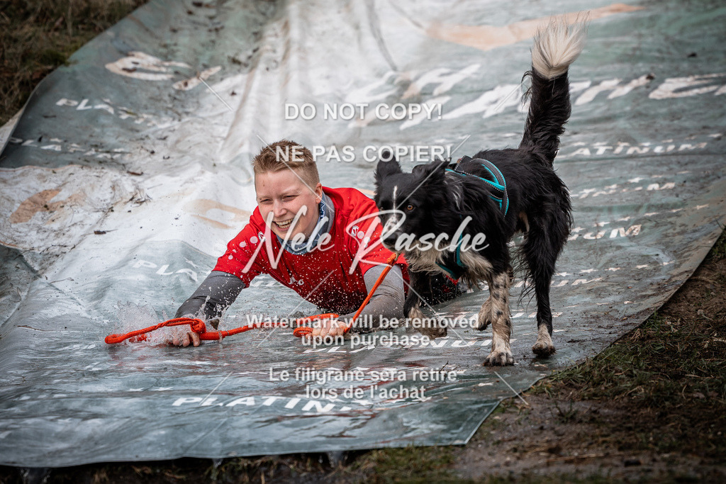nelerasche_1330-1400_198 | nelerasche
