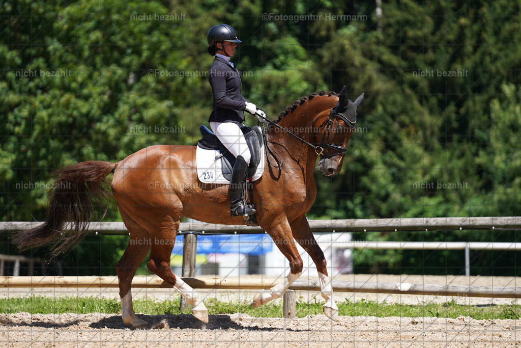 20240705-FAH03627 | Turnierbilder von Grafing, Reitsportbilder, Turnierfotos, Turnierfotografen Bayern, Pferdefotograf, Fotoagentur Herrmann