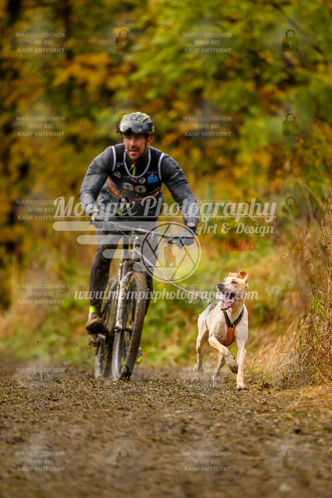 MompixPhotography_ICF_WC_2024_SA_Bike_-40 | PayLife