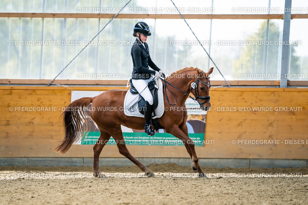 DSC05266 | Pferdegrafie