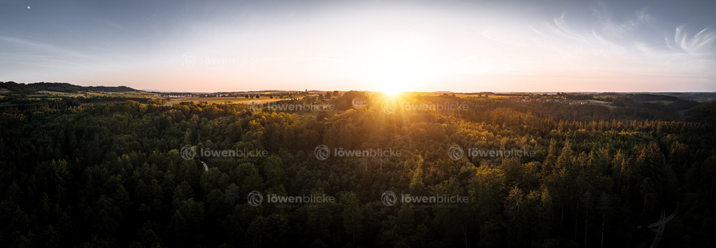 Wäscherschloss im Wald | löwenblicke | shop