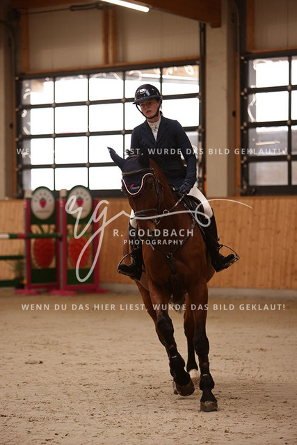 1J2A2254Lilli Plath_ Stakkato_s Diva_ Kn453_ Hohen Wieschendorf_ Glantz | Foto- und Videografie für alles rund ums Pferd. Hochwertige Bilder und Videos vom Spring- und Dressurreiten, Voltigieren & mehr. Jetzt aktuelle Veranstaltungen und Preise im Shop ansehen. - Realisiert mit Pictrs.com