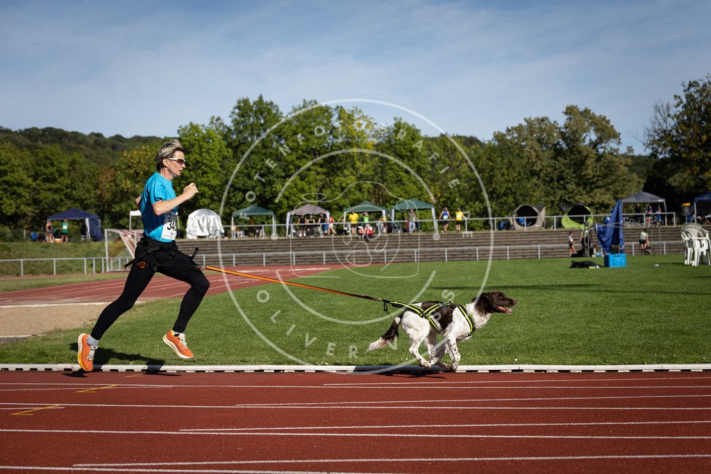 Pfotenfotografie_DV3A8441 | Hundefotografie, Tierfotograf, Pfotenfotografie, Fotoshooting Hund, Hunde Portrait, Hundesport, Hundeportraits, Heideshooting, Hunde, Sportfotograf, Hundefotograf, Turnierhundsport, THS,  - Realisiert mit Pictrs.com
