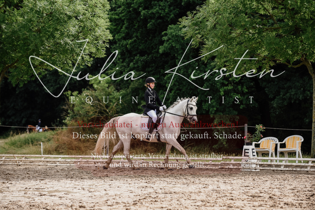 DSC_9471 | Pferde- und Turnierfotografie in Westsachsen. Pferdeportraits, Auftragszeichnungen und intuitive Kunst.