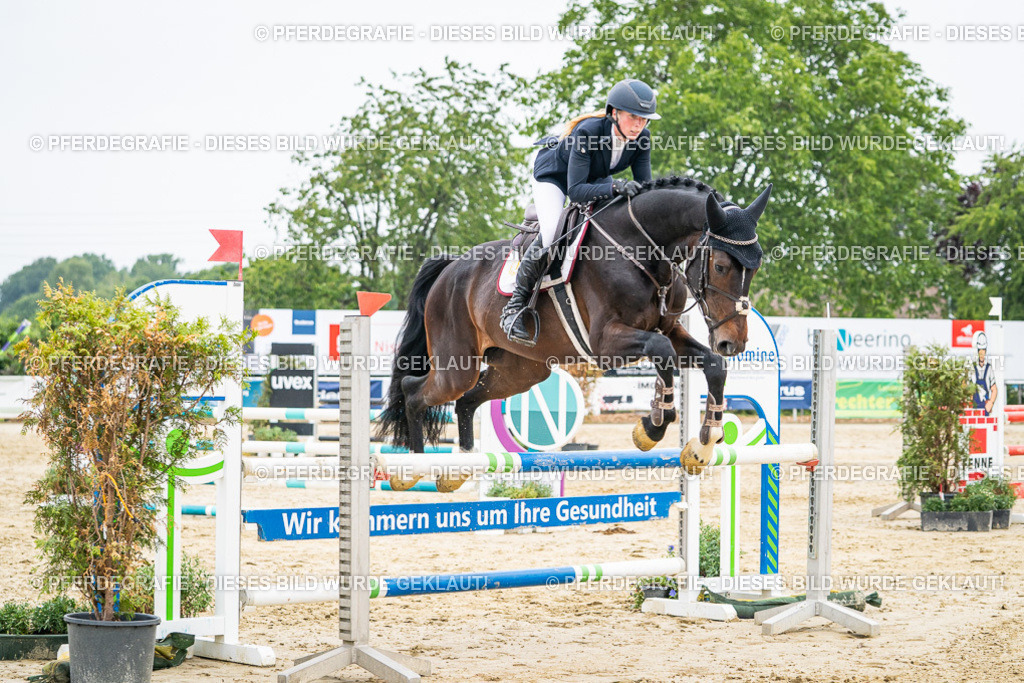 DSC00163 | Pferdegrafie