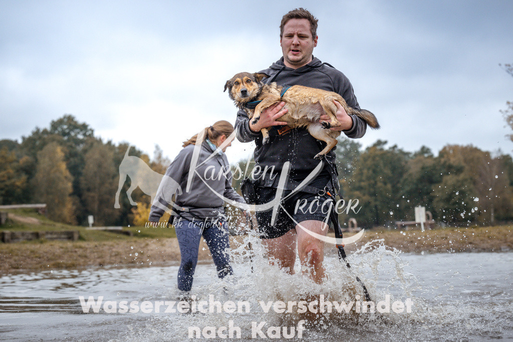 1414_ZZ96453 | kk-dogfotos