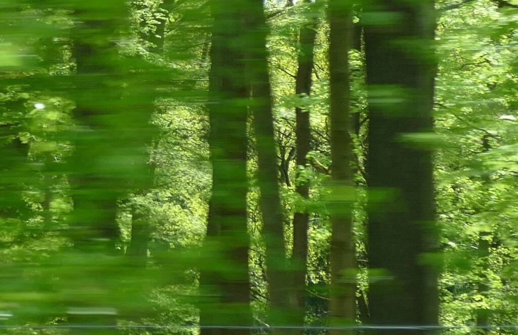 P3420677_a | Annaeherungen - Realisiert mit Pictrs.com