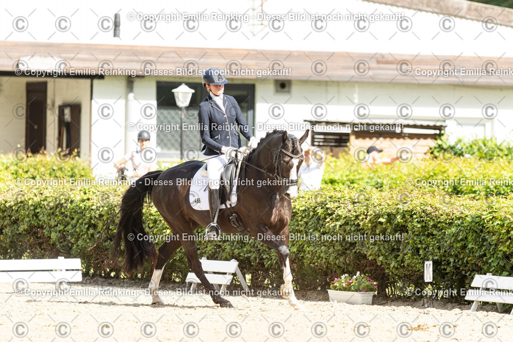 CL5A5951-2 | Emilia Reinking Fotografie - Realisiert mit Pictrs.com