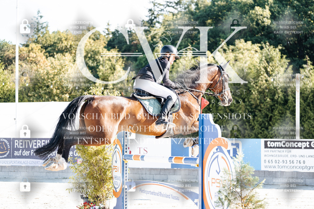 CK904133 | Turnierfotografie Pferdefotografie Trier Rheinland-Pfalz Pferdesport Reitsport Tierfotografie Sportfotografie Pferdevideo Pferdevideografie Equestrianvideography equestrianphotography  - Realisiert mit Pictrs.com