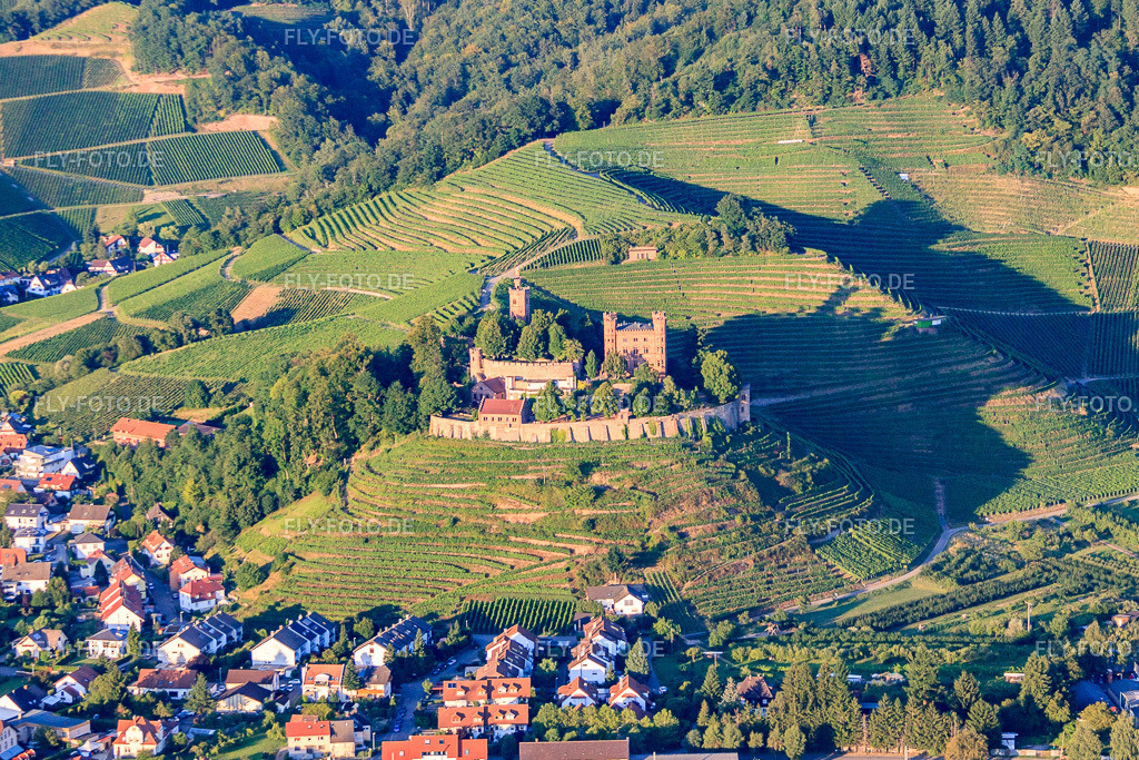 DJH Jugendherberge Schloss Ortenberg zwischen Weinbergen https://www.jugendherberge.de/jugendherbergen/ortenberg/ | Luftbild: DJH Jugendherberge Schloss Ortenberg zwischen Weinbergen https://www.jugendherberge.de/jugendherbergen/ortenberg/ in Ortenberg im Bundesland Baden-Württemberg in Deutschland. Foto: IMG_59335.jpg vom 15.08.2013 durch Werner Riehm/FLY-FOTO.de - Realisiert mit Pictrs.com