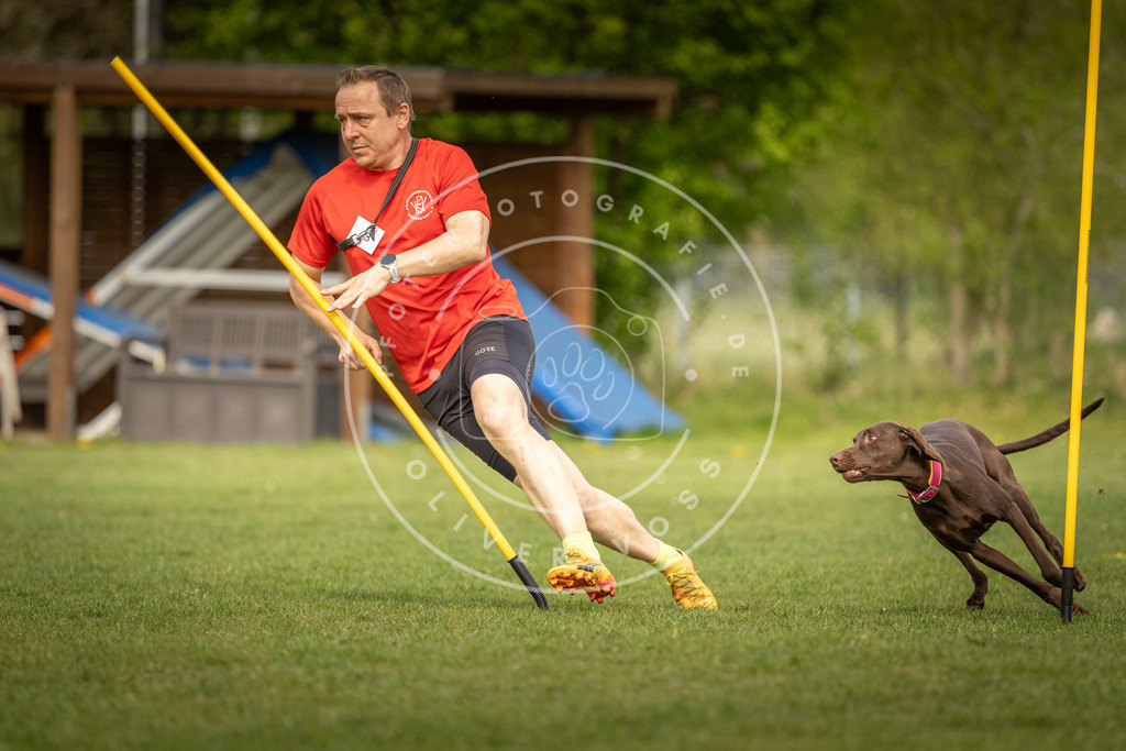 Pfotenfotografie_DV3A5279 | Hundefotografie, Tierfotograf, Pfotenfotografie, Fotoshooting Hund, Hunde Portrait, Hundesport, Hundeportraits, Heideshooting, Hunde, Sportfotograf, Hundefotograf, Turnierhundsport, THS,  - Realisiert mit Pictrs.com