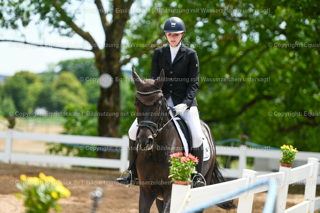 20230715_05_Dressurprüfung Kl.A++_0394 | equistock