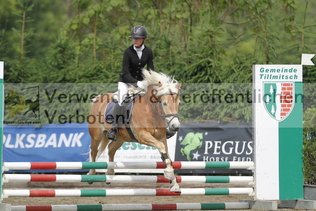 _MG_4597 | equestrian-live-com
