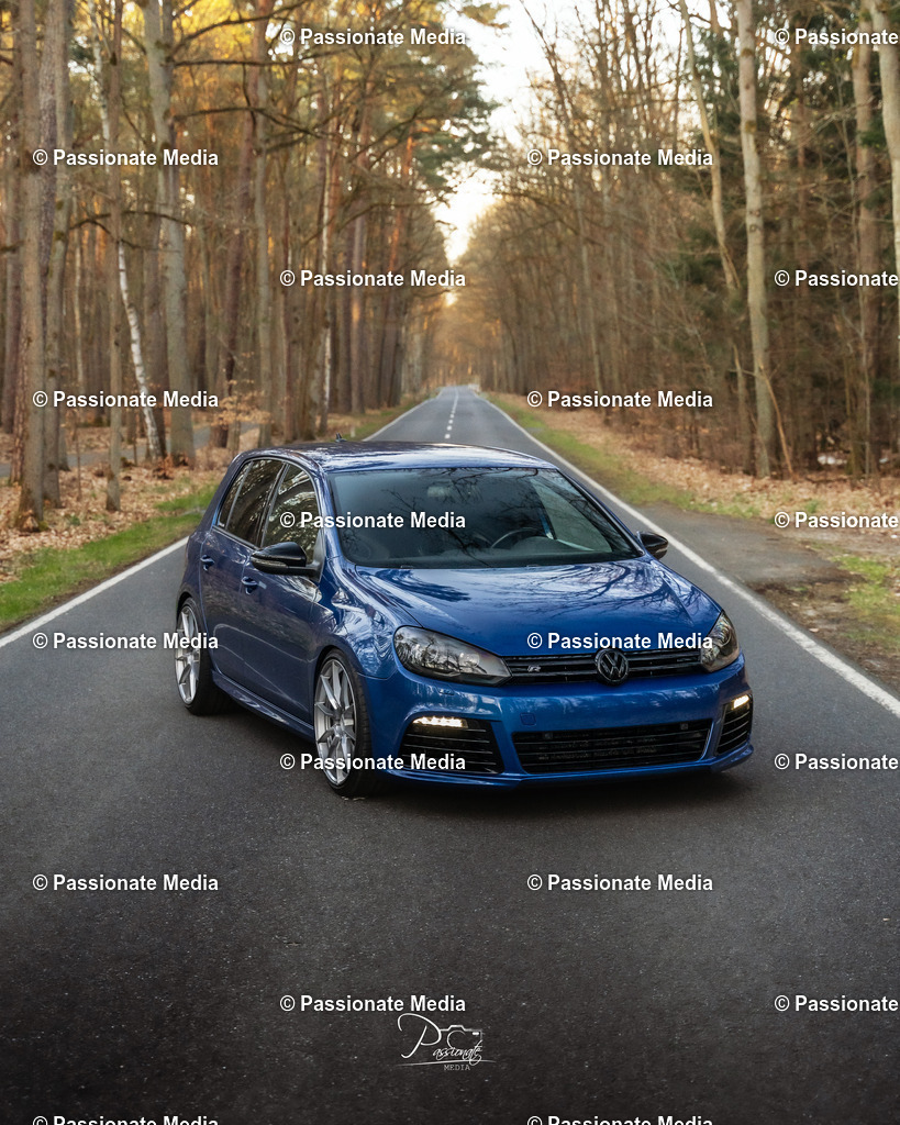 DSC05200v2 | Passionate Media, dein Fotograf aus Brandenburg, Märkisch Oderland, im Bereich Motorsport, Autos und Motorräder sowie Events und auch Hunde. Shootings oder auch Eventbegleitungen können bei mir gebucht we