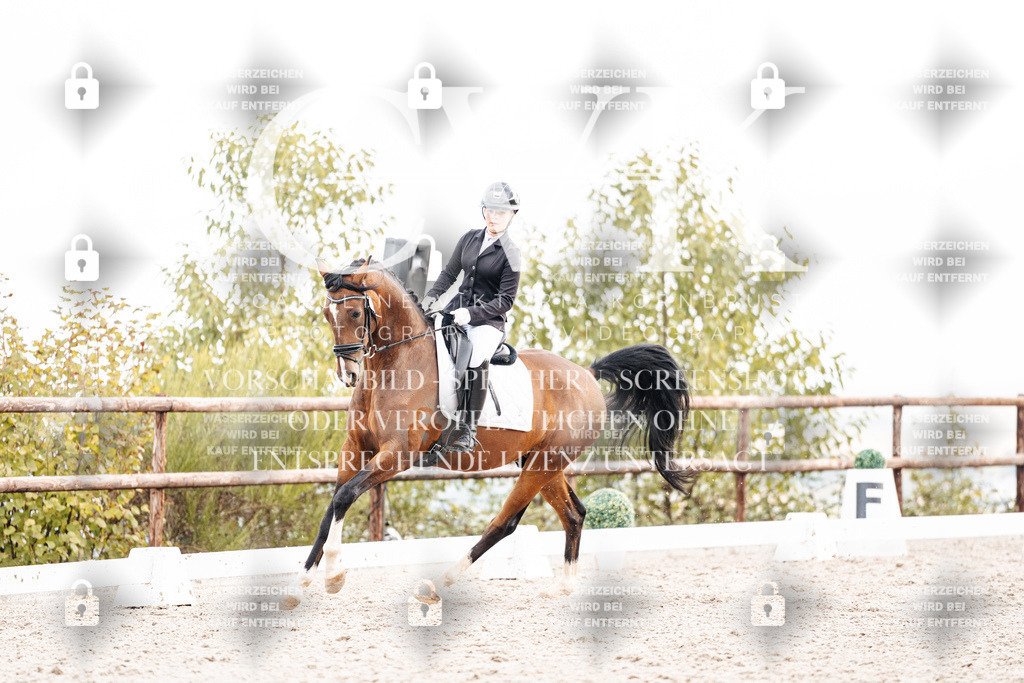 CK900980 | Turnierfotografie Pferdefotografie Trier Rheinland-Pfalz Pferdesport Reitsport Tierfotografie Sportfotografie Pferdevideo Pferdevideografie Equestrianvideography equestrianphotography  - Realisiert mit Pictrs.com
