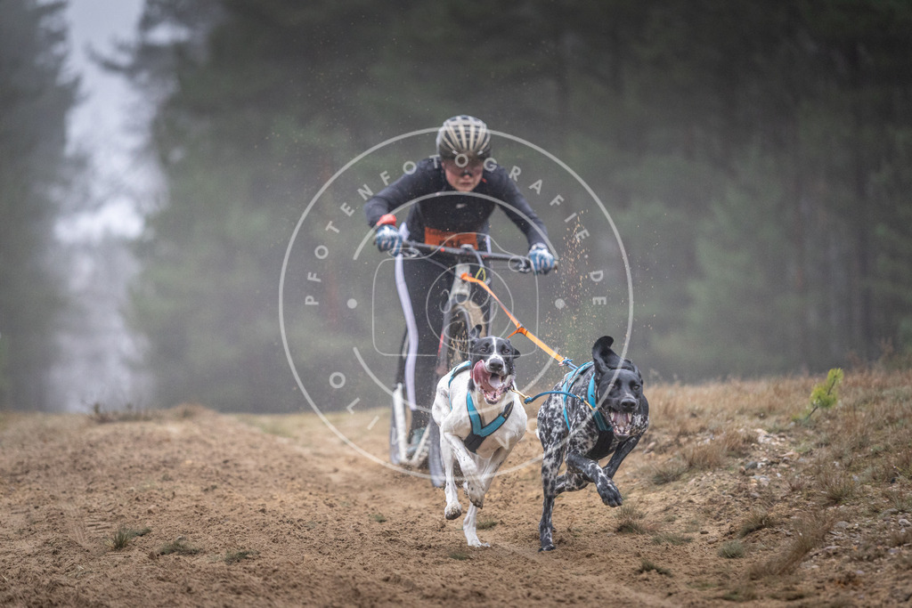 Pfotenfotografie_DV3A0792 | Hundefotografie, Tierfotograf, Pfotenfotografie, Fotoshooting Hund, Hunde Portrait, Hundesport, Hundeportraits, Heideshooting, Hunde, Sportfotograf, Hundefotograf, Turnierhundsport, THS,  - Realisiert mit Pictrs.com