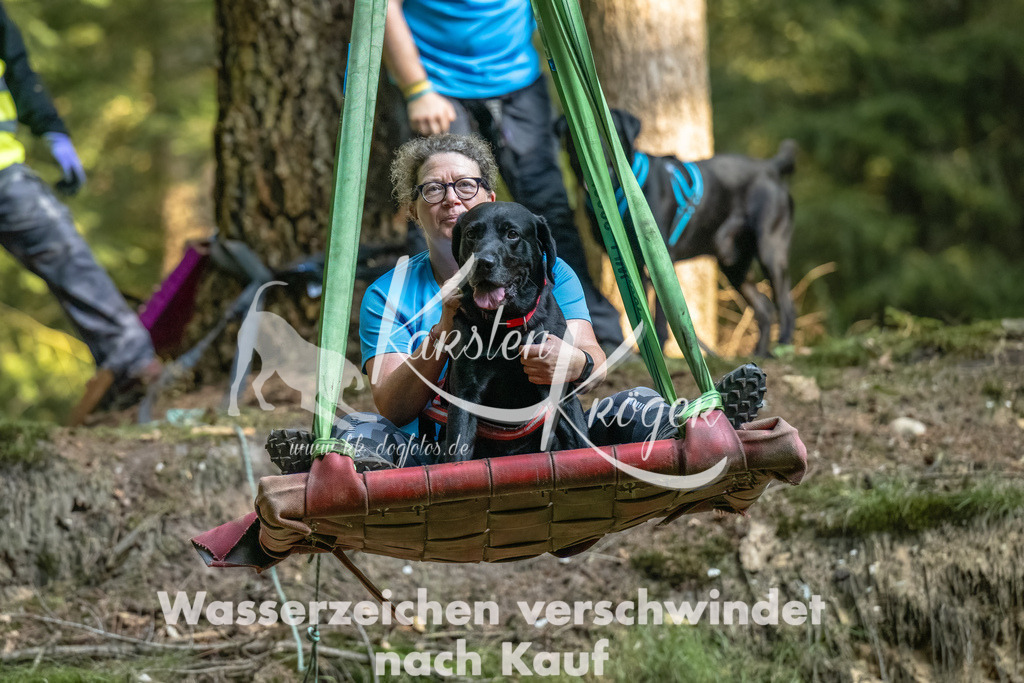 0931_ZZ91070-Bearbeitet | kk-dogfotos