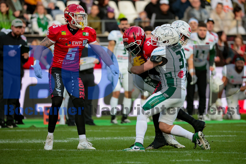  14.10.2023 - 
 | Sebastian Sendlak / Bochumer Nachrichtendienst (BOND) - GFL-Bowl 2023: Schwaebisch Hall Unicorns vs. Potsdam Royals - Realisiert mit Pictrs.com