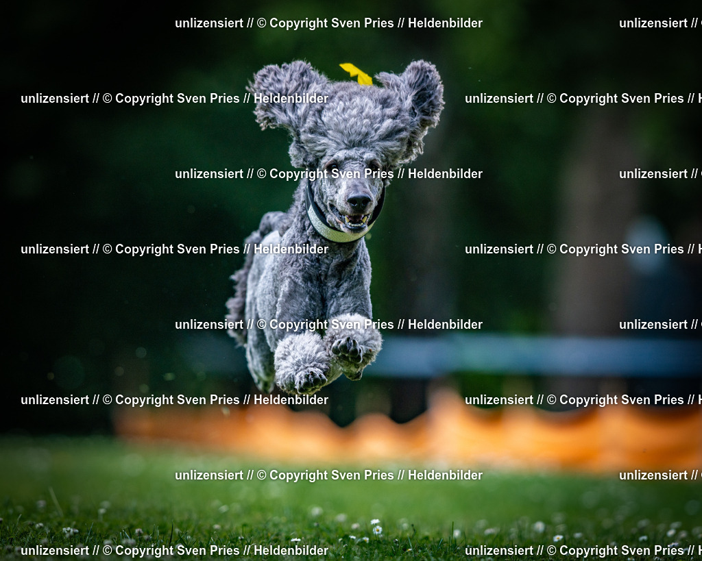 Sven Pries | 2025-05-29 - Pudelrennen KA-Durlach - Realisiert mit Pictrs.com