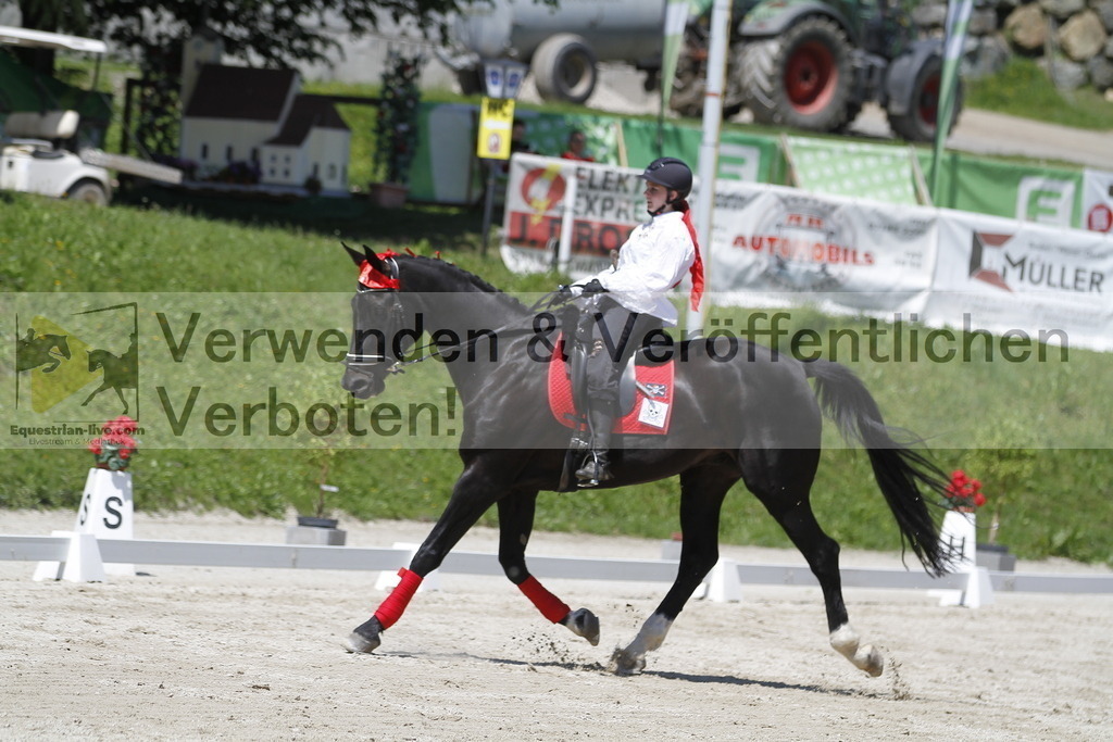 _MG_7449 | equestrian-live-com