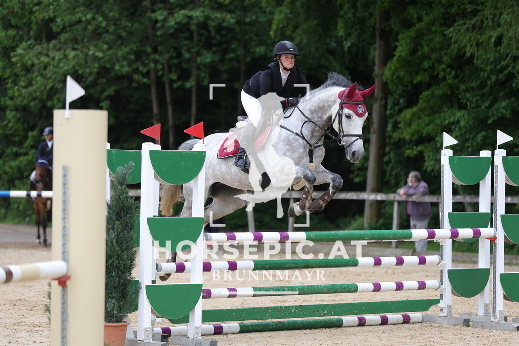 0P6A1335 | Willkommen bei Brunnmayr - Design & Fotografie – Ihrem Spezialisten für Reitturniere und Pferdeveranstaltungen in Oberösterreich, Salzburg und Bayern! Seit über 17 Jahren sind wir leidenschaftlich dabei.
