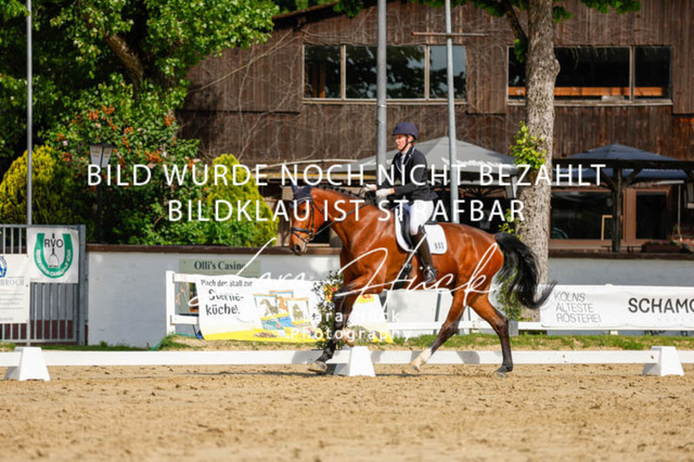 _62_2620 | larahueckfotografie