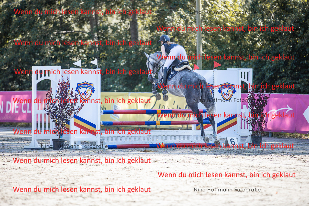 BK1A7097 | Turnierbilder Turnierfotos Nina Hüffmann Turnierfotografie Pferdefotografie Tierzeichnung Haustierzeichnung Pferdezeichnung Hundezeichnung Videograf  - Realisiert mit Pictrs.com