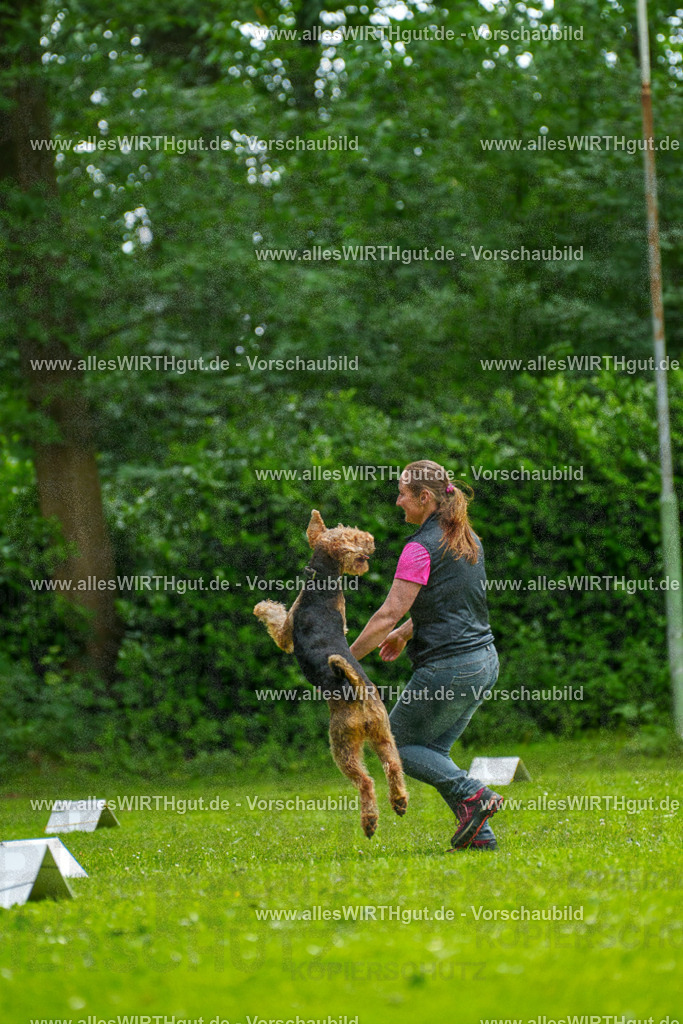 @allesWIRTHgut_Tierfotografie - www.allesWIRTHgut.de - 124108-7R509323 | Professionelle Tierfotografie in Mönchengladbach von Daniel Wirth (allesWIRTHgut). Liebevolle & natürliche Bilder von Hunden & Katzen für unvergessliche Erinnerungen.