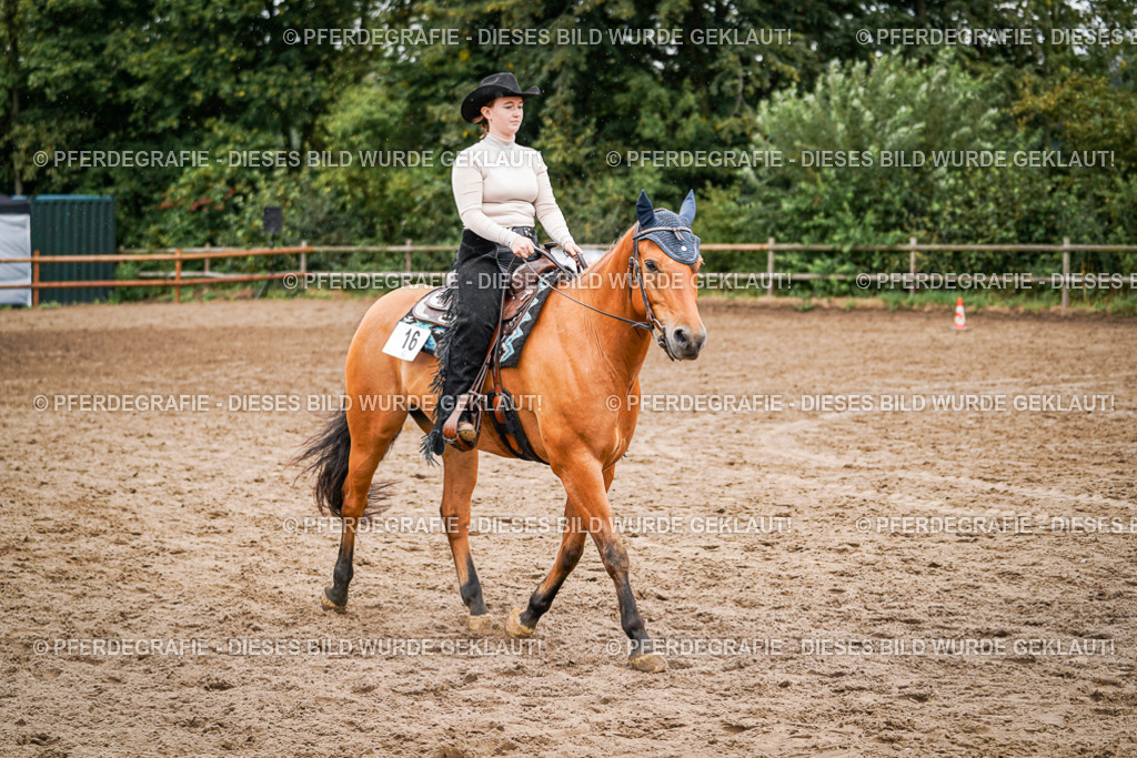 DSC04901 | Pferdegrafie