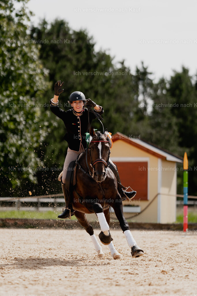 Virginie12FHC2025-01778 | working equitationturnier fotograf videograf stoibphotography marixx film working equitation deutschland reitsport turnierfotografie eventfotografie equestrian events