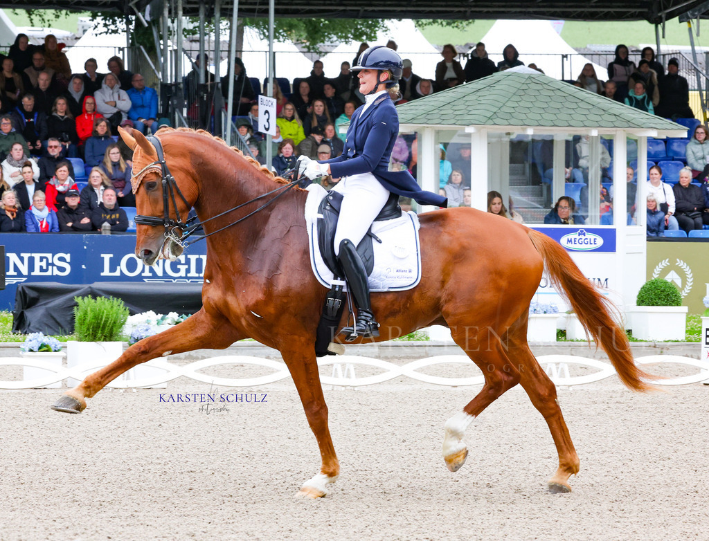 1B3A7276 | Reitsport Reiten