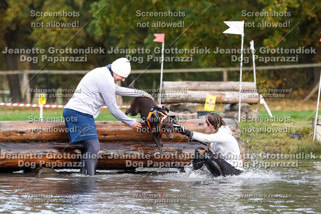 Dog Paparazzi - Strongdog 10-25-6802 | Dog Paparazzi Jeanette Grottendiek Fotografie & Videografie