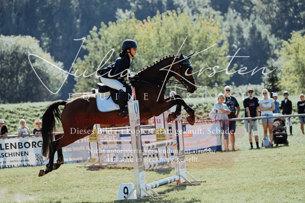 DSC_5562 | Pferde- und Turnierfotografie in Westsachsen. Pferdeportraits, Auftragszeichnungen und intuitive Kunst.