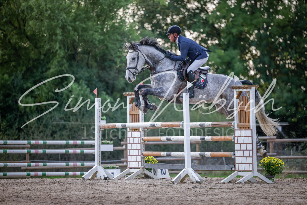 20251012-_3LI5898 | Tierfotografie Pferde, Hunde, Katzen, Haustiere.
Turnierfotografie Reitturniere, Reiten, Springreiten, Dressur in Hanau, dem Main-Kinzig-Kreis und dem Rhein-Main- Gebiet um Frankfurt