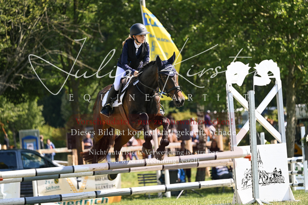 DSC_8775 | Pferde- und Turnierfotografie in Westsachsen. Pferdeportraits, Auftragszeichnungen und intuitive Kunst.