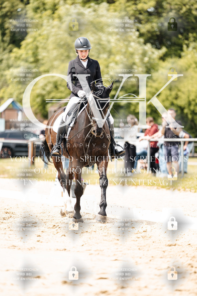 CK902160 | Turnierfotografie Pferdefotografie Trier Rheinland-Pfalz Pferdesport Reitsport Tierfotografie Sportfotografie Pferdevideo Pferdevideografie Equestrianvideography equestrianphotography  - Realisiert mit Pictrs.com