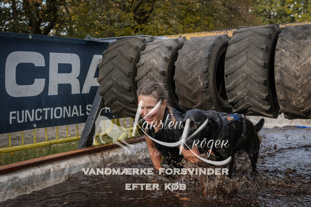 1440_ZZ94745 | kk-dogfotos