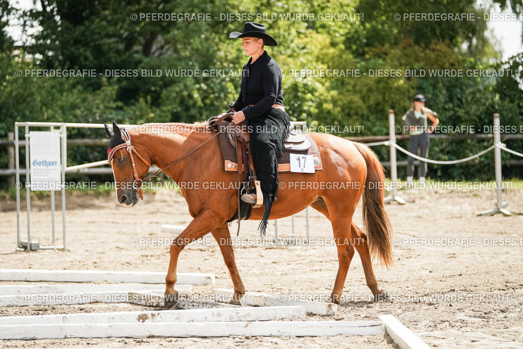 DSC05982 | Pferdegrafie