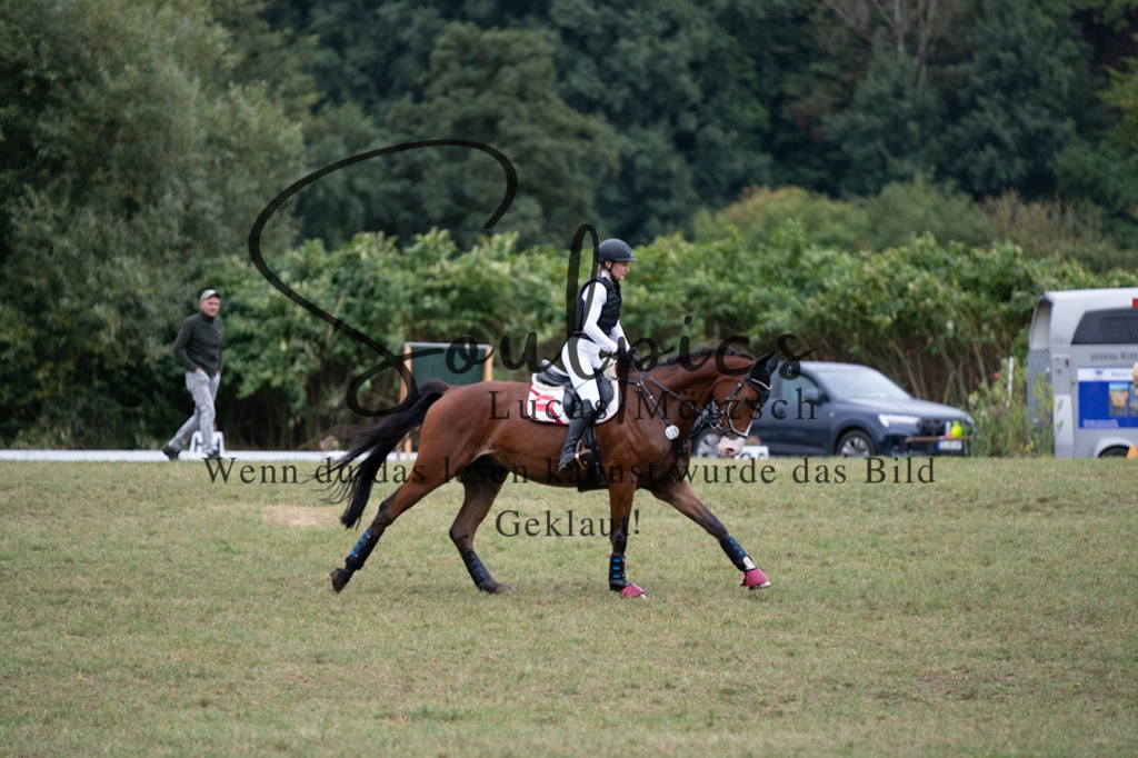 A7V00259 | Pferdefotograf