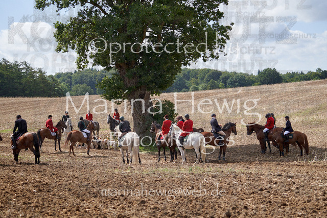 _MCH8127_Marina Hewig | Fotografie, FotoArt, PferdesportArt, Pferdesportfotografie, Landschaftsfotografie, Reisefotografie, Reise, Pferde - Realisiert mit Pictrs.com