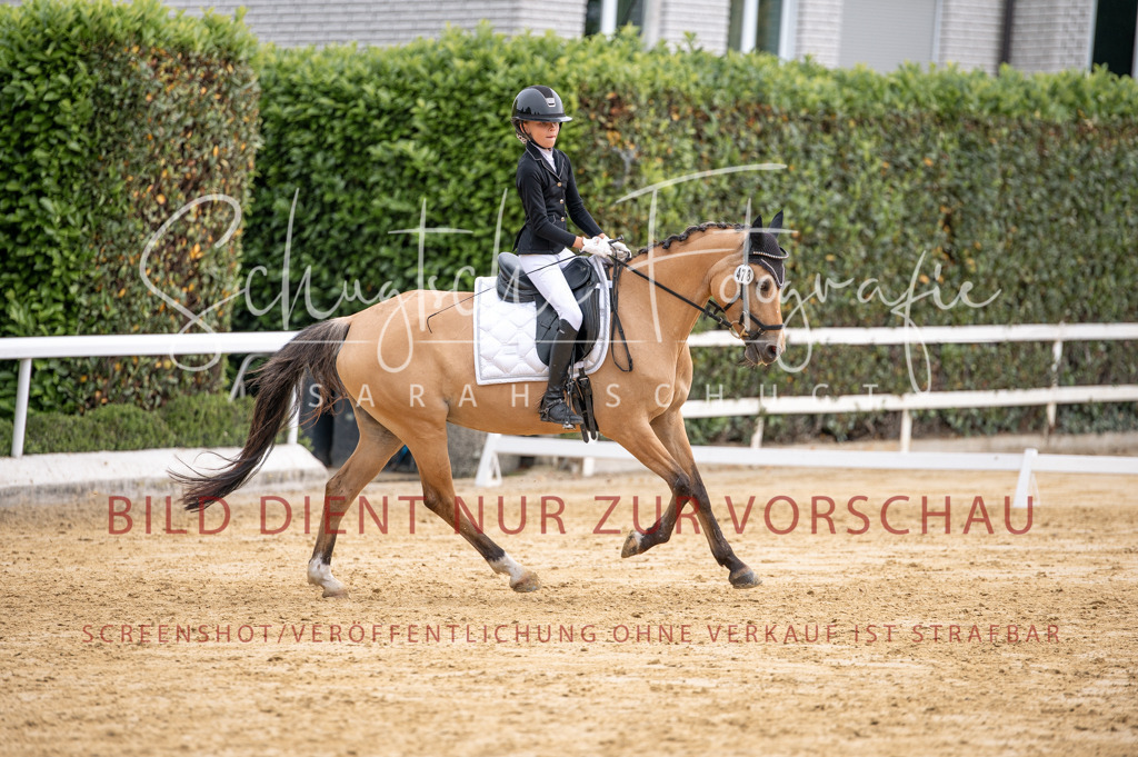 Schugtsche-Aluta25-40.DressurprfA_-371 | Schugtsche Fotografie - Realisiert mit Pictrs.com