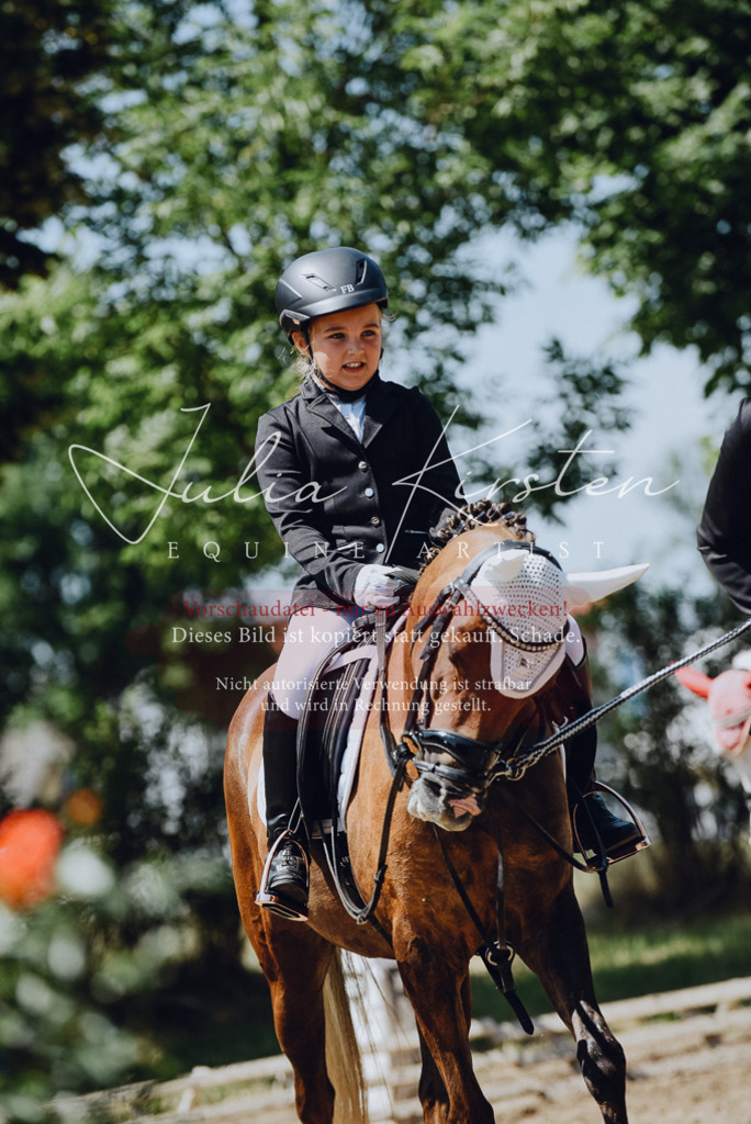 DSC_2509 | Pferde- und Turnierfotografie in Westsachsen. Pferdeportraits, Auftragszeichnungen und intuitive Kunst.