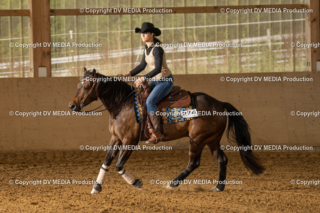 LAU01491 | dv-media-shop - Realisiert mit Pictrs.com