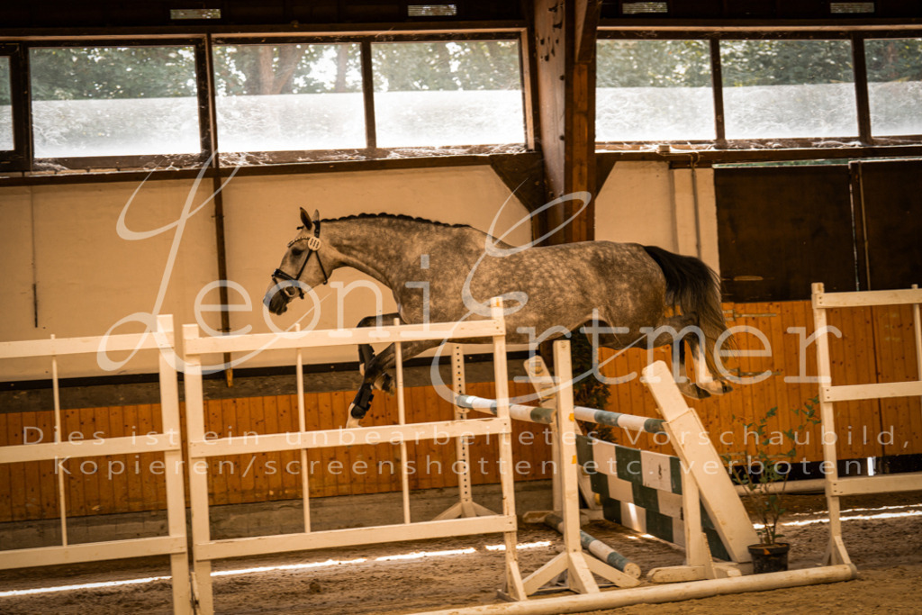 FrFS00015 | Leoni Ertmer Photography - Realisiert mit Pictrs.com