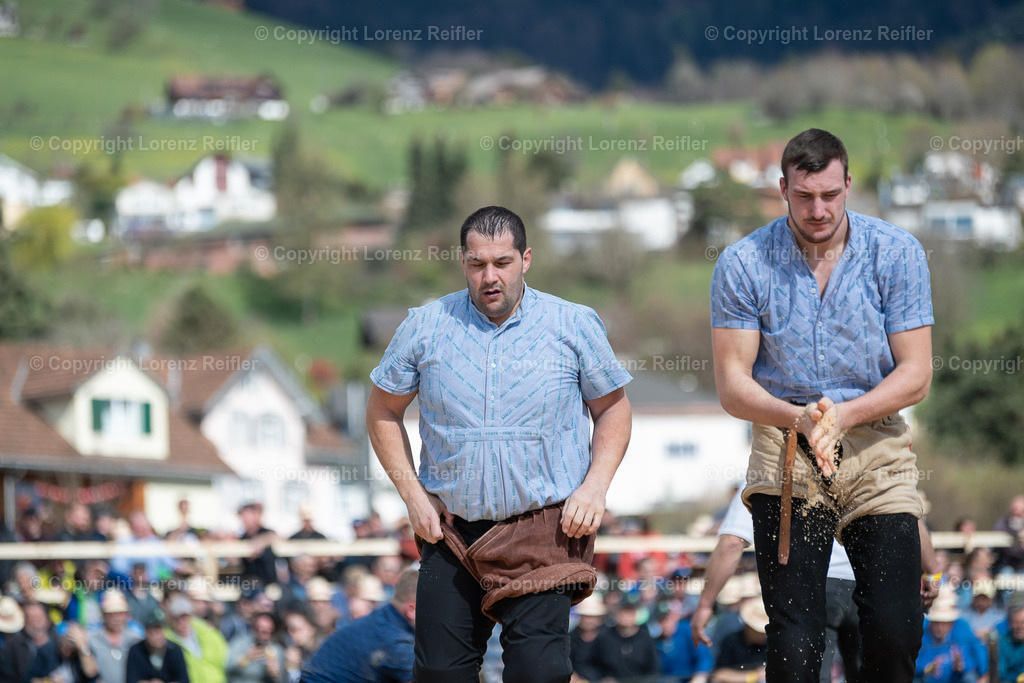 Schwingen -  Rheintal-Oberländer 2023 | Altstätten, 2.4.23, Schwingen - Rheintal-Oberländer.