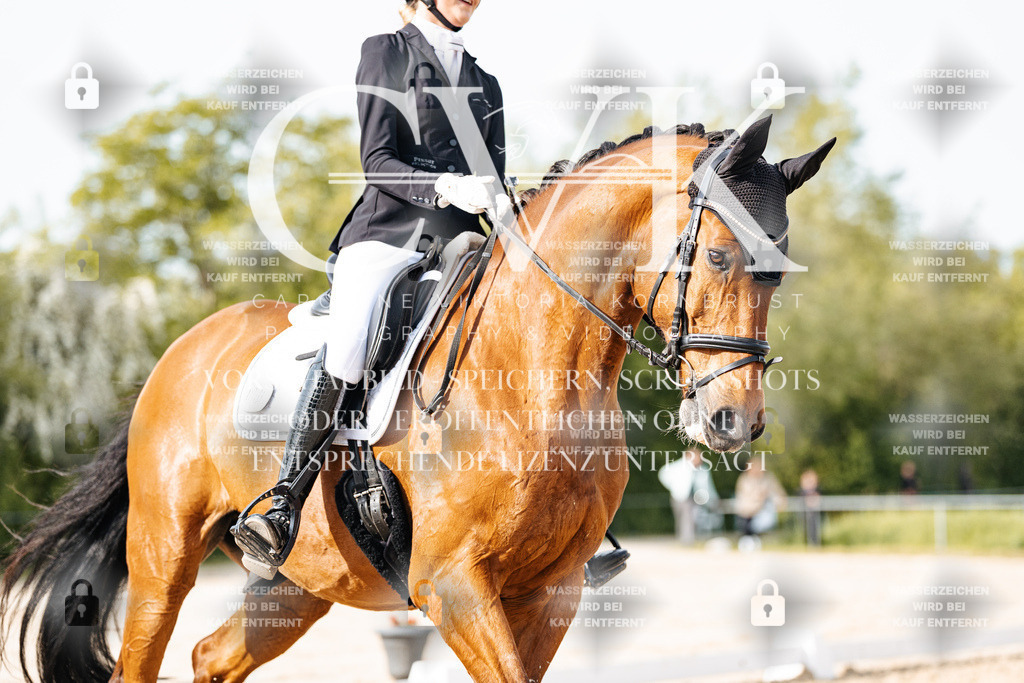 CK900151 | Turnierfotografie Pferdefotografie Trier Rheinland-Pfalz Pferdesport Reitsport Tierfotografie Sportfotografie Pferdevideo Pferdevideografie Equestrianvideography equestrianphotography  - Realisiert mit Pictrs.com