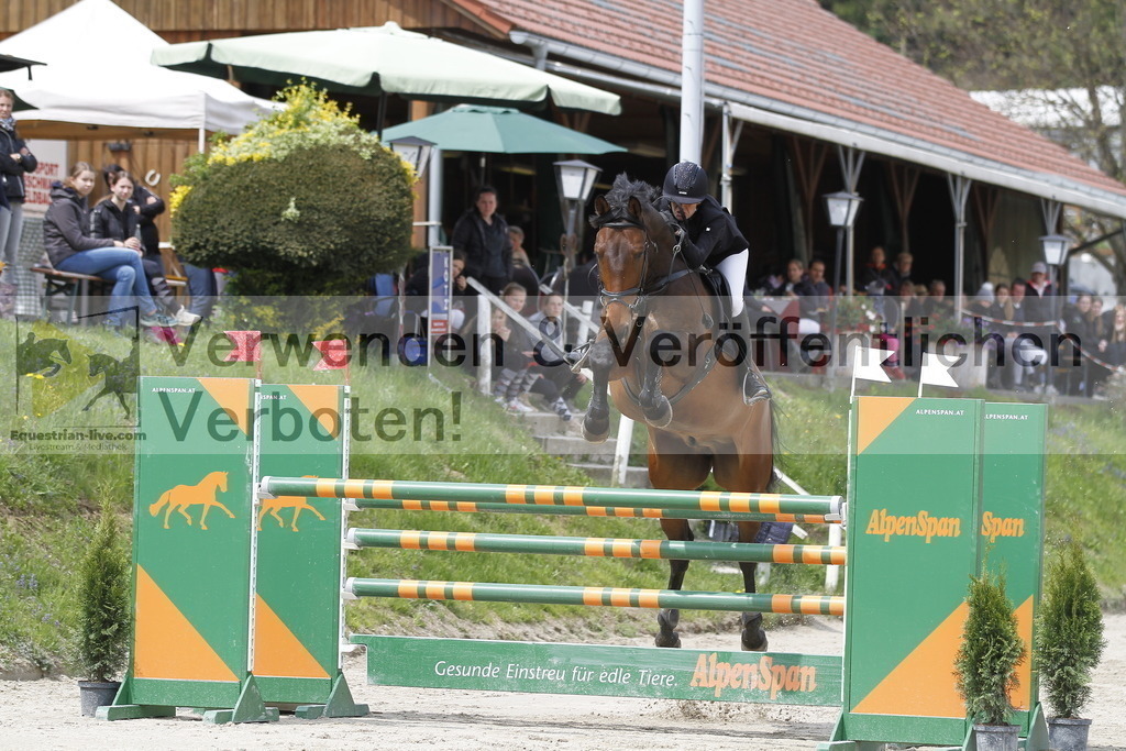 _MG_3868 | equestrian-live-com